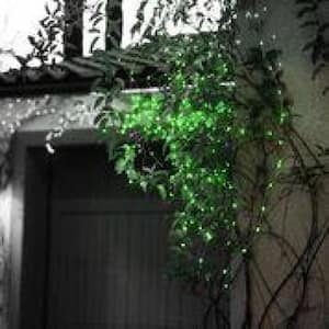 Outdoor/Indoor 12 ft. Battery Operated Micro Bulb Integrated LED String Light/Fairy Lights, Green (3-Pack)