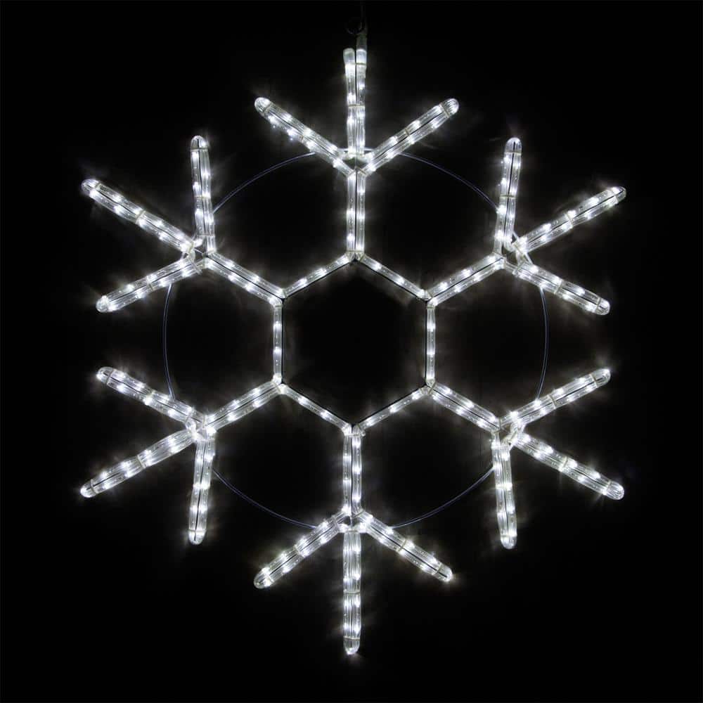 Wintergreen Lighting 24 in. 138-Light LED Cool White 18 Point