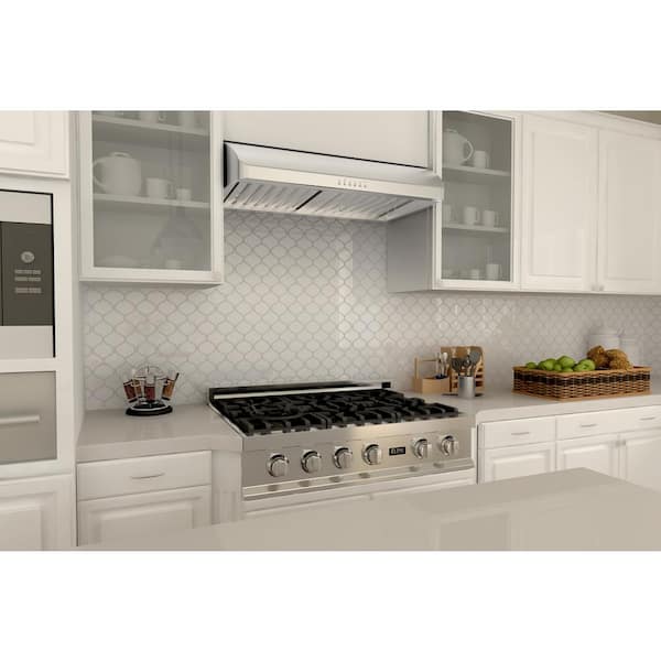 36 in. 600 CFM Ducted Under Cabinet Range Hood in Stainless Steel