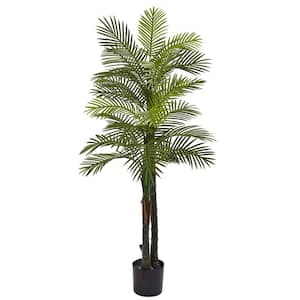 5.5 ft. Artificial Double Robellini Palm Tree UV Resistant (Indoor/Outdoor)