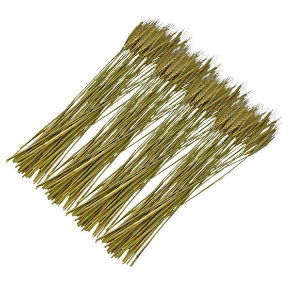 24 in. Natural Brown Indoor Non Artificial Dried Preserved Wheat Pack of 4