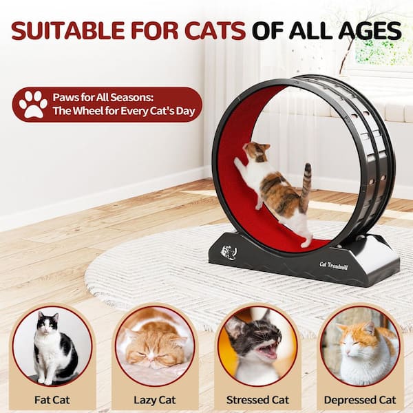 COZIWOW Cat Treadmill Exercise Wheel Lockable, Large