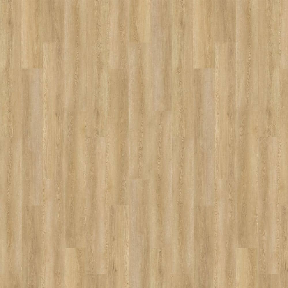 Mohawk Home & Office Sophisticated Look 30 Blue Bayou Textured Carpet Sample (Interior) Mohawk Home & Office Sophisticated Look 30 Blue Bayou Textured Carpet Sample (Interior)