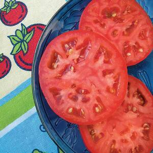 19 oz. Red Beefsteak Heirloom Tomato Plant