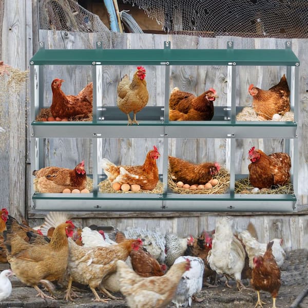 3.5 ft. W x 1.4 ft. D Metal Shed, 8-Compartment Chicken Nesting Box for Laying Eggs,Wall Mount for Chicken(4.98 sq. ft.)