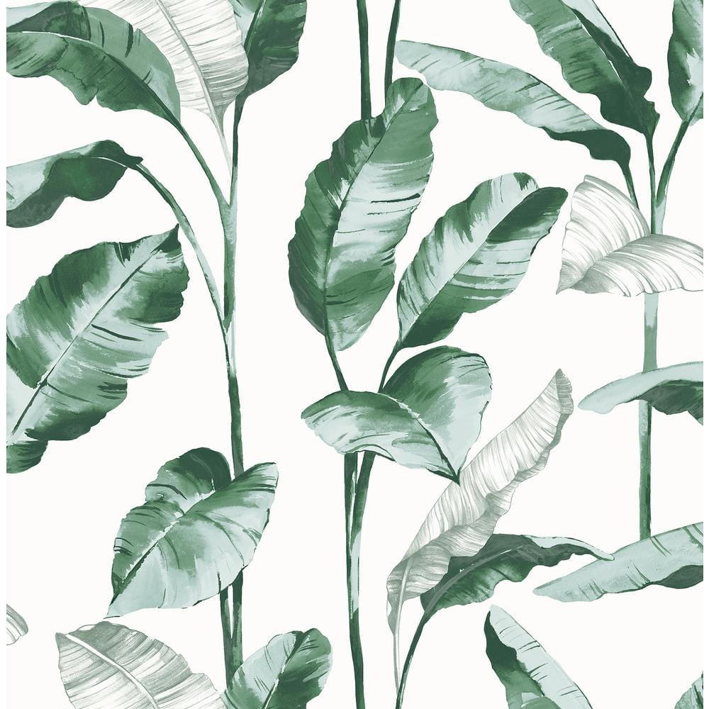 NuWallpaper Banana Leaf Teal Matte Vinyl Peel and Stick Wallpaper