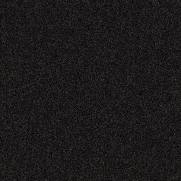 Alpine - Mystery - Gray 15 ft. 17.3 oz. Polyester Texture Installed Carpet