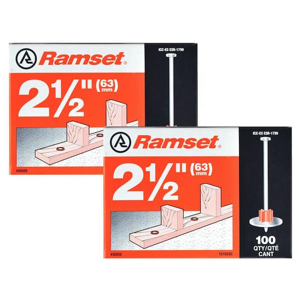 2-1/2 in. Drive Pins with Washers Combo Kit 2 of (100-Pack)