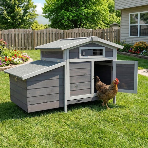 Outdoor Free-Range Wooden Chicken Coop with Asphalt Roof, Leak