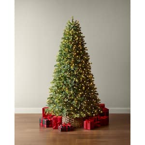 7.5 ft Willow Creek Spruce LED Pre-Lit Artificial Christmas Tree T13