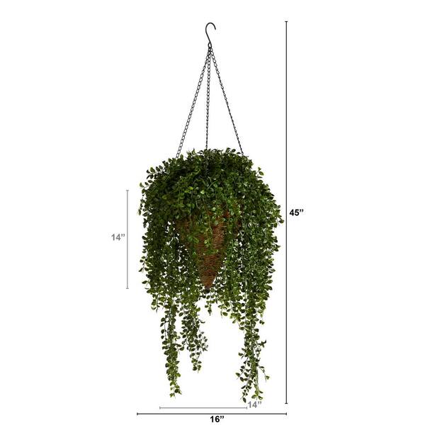 21 x 6 Artificial String of Pearl Plant in Hanging Basket - Nearly Natural