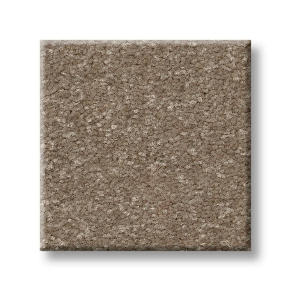 8 in. x 8 in. Texture Carpet Sample - Blakely I -Color Elk price history on PriceWatchPro