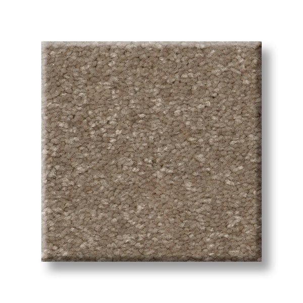 Lifeproof 8 in. x 8 in. Texture Carpet Sample - Blakely I -Color Elk