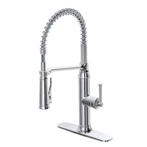 Linscott Single Handle Coil Spring Neck Pull Down Sprayer Kitchen Faucet in Chrome