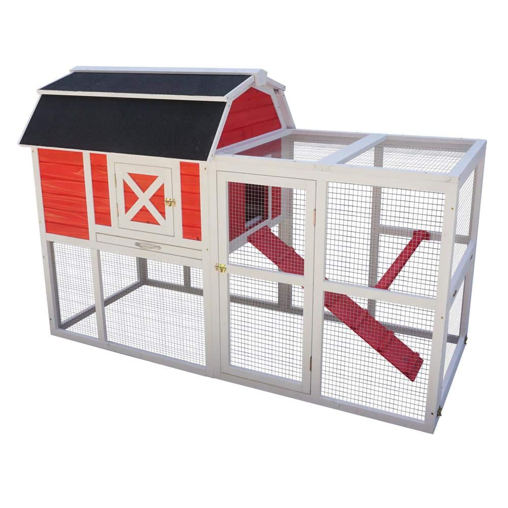 zoovilla Big Farm Chicken Coop PTH1220020612 The Home Depot