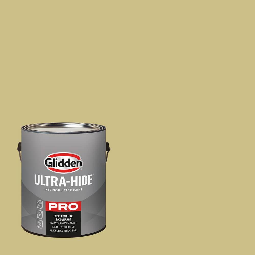 1 gal. PPG11-04 Country Style Eggshell Interior Paint price history on PriceWatchPro