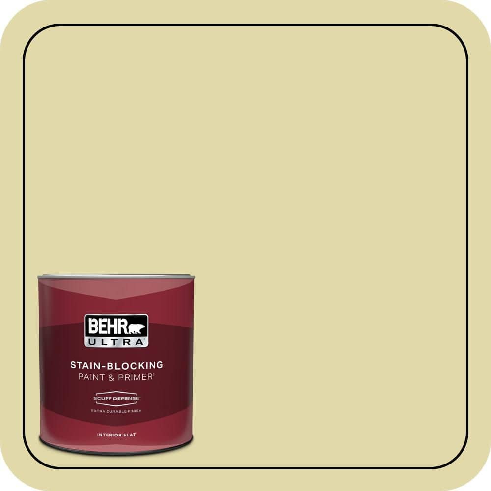 1 qt. Home Decorators Collection #HDC-CT-27A Fresh Willow Extra Durable Flat Interior Paint & Primer price history on PriceWatchPro