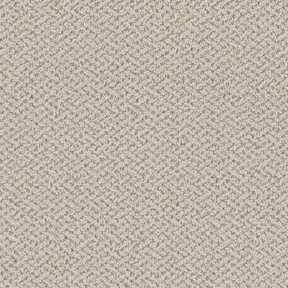 8 in. x 8 in. Loop Carpet Sample - Ballad Bliss - Color Chant price history on PriceWatchPro