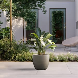 Lightweight 14 in. x 12 in. Light Gray Extra Large Tall Round Concrete Plant Pot / Planter for Indoor and Outdoor