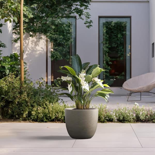 Sapcrete 14 in. Large Light Gray Concrete Round planter / Pot with drainage holes