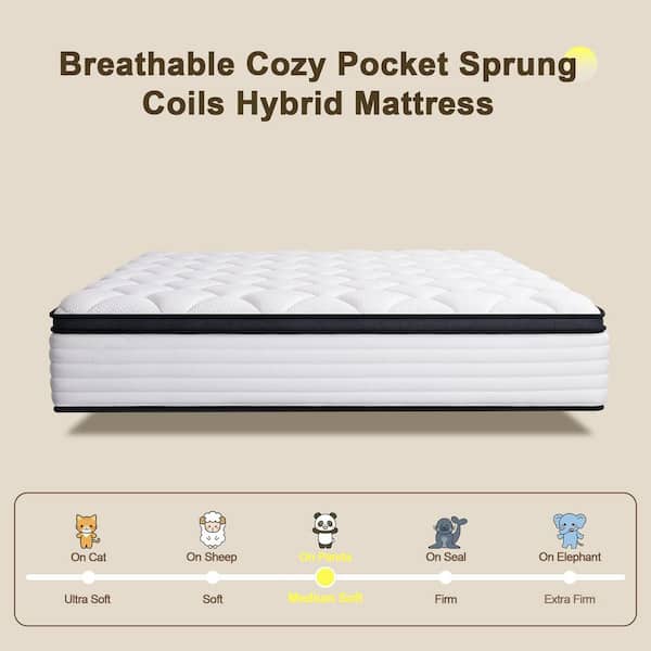 Queen Size 12 in. Medium Firm Hybrid Foam Mattress,Pocket Spring,Pressure Relief and Cooling