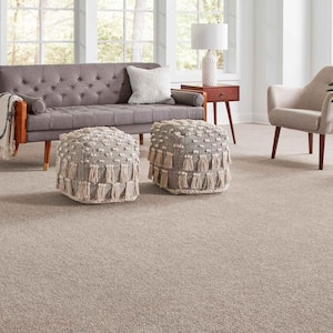 Phenomenal I  - Yorktown - Brown 48.3 oz. Triexta Texture Installed Carpet