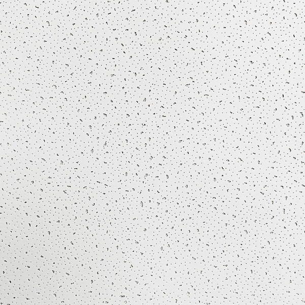 2 ft. x 2 ft. Random Textured PVC Drop in Ceiling Tile, case of 10 (40 sq. ft. )