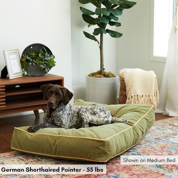 Happy Hounds Buster Medium Moss Dog Bed DB150M-MOSS The Home Depot