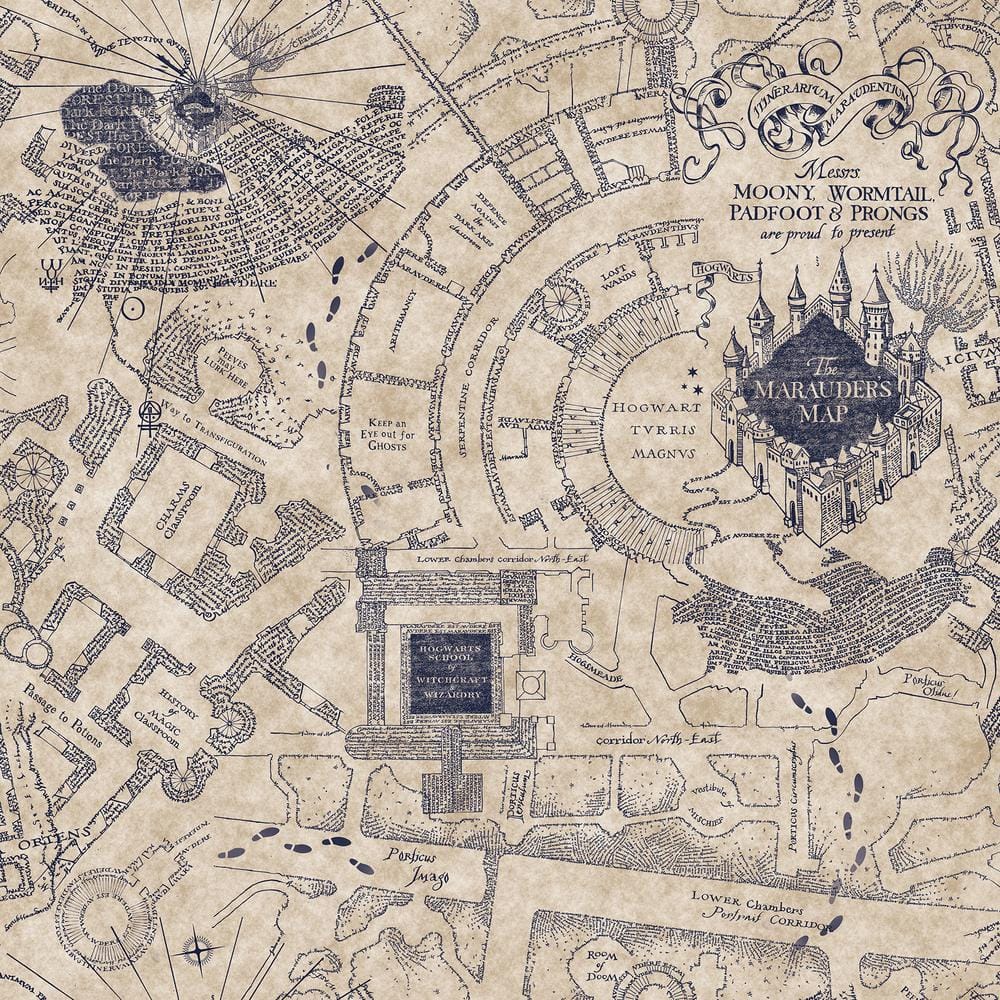 the marauders' map, from this really cool Harry Potter book…