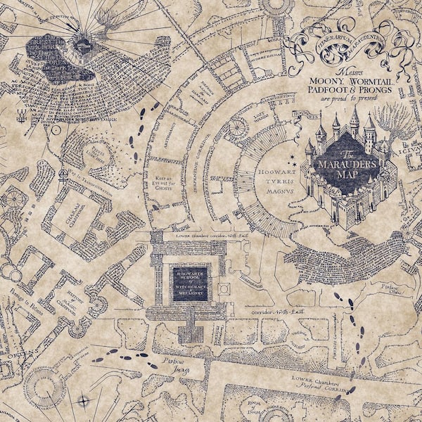 Blue Harry Potter Marauder's Map Vinyl Peel and Stick Matte Wallpaper