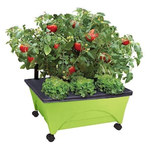 24.5 in. x 20.5 in. Patio Raised Garden Bed Kit with Watering System and Casters in Limey Green