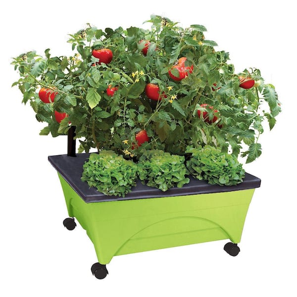 CITY PICKERS 24.5 in. x 20.5 in. Patio Raised Garden Bed Kit with Watering System and Casters in Limey Green