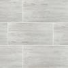 Nyon Gray 12 in. x 24 in. Polished Porcelain Floor and Wall Tile (16 sq. ft. / case)
