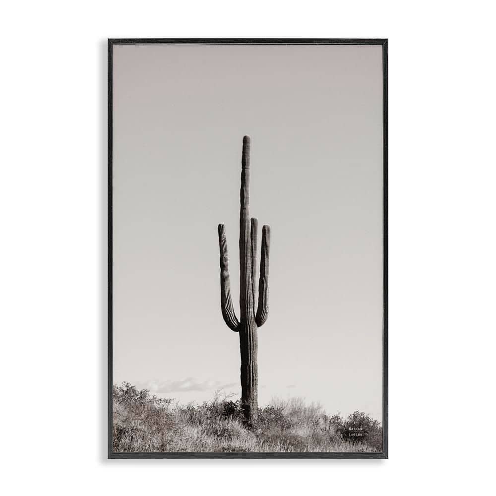 Clear Afternoon Cactus by Nathan Larson Black Framed Nature Giclee Art Print 24 in. x 16 in. price history on PriceWatchPro
