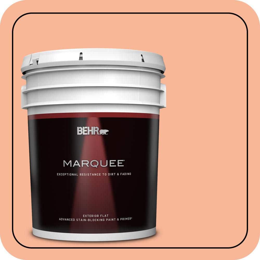 5 gal. #P190-3 Melon Sorbet Flat Exterior Paint & Primer product image for price tracking