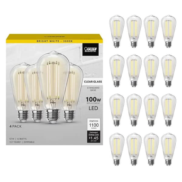 100-Watt Equivalent ST19 Dimmable Straight Filament Clear Glass E26 Vintage Edison LED Light Bulb, Bright White(16-Pack)