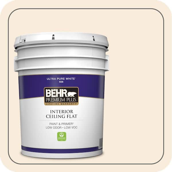 5 gal. #PPH-12 Ivory Ceiling Flat Interior Paint