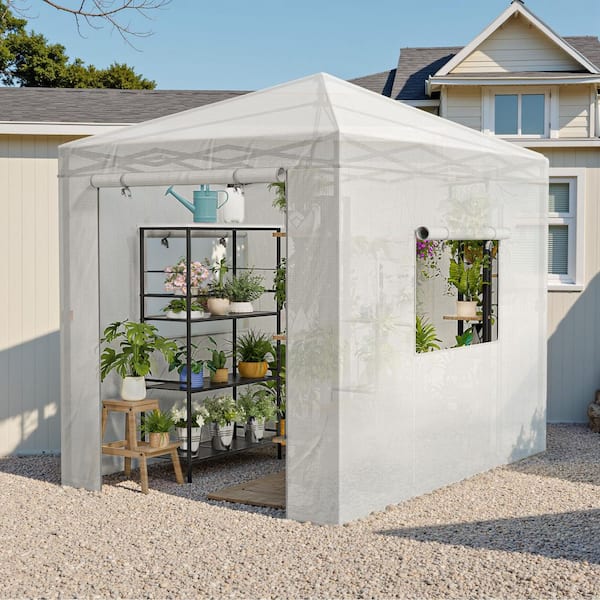 6 ft. W x 8 ft. D Collapsible Metal Walk-In Greenhouse, White