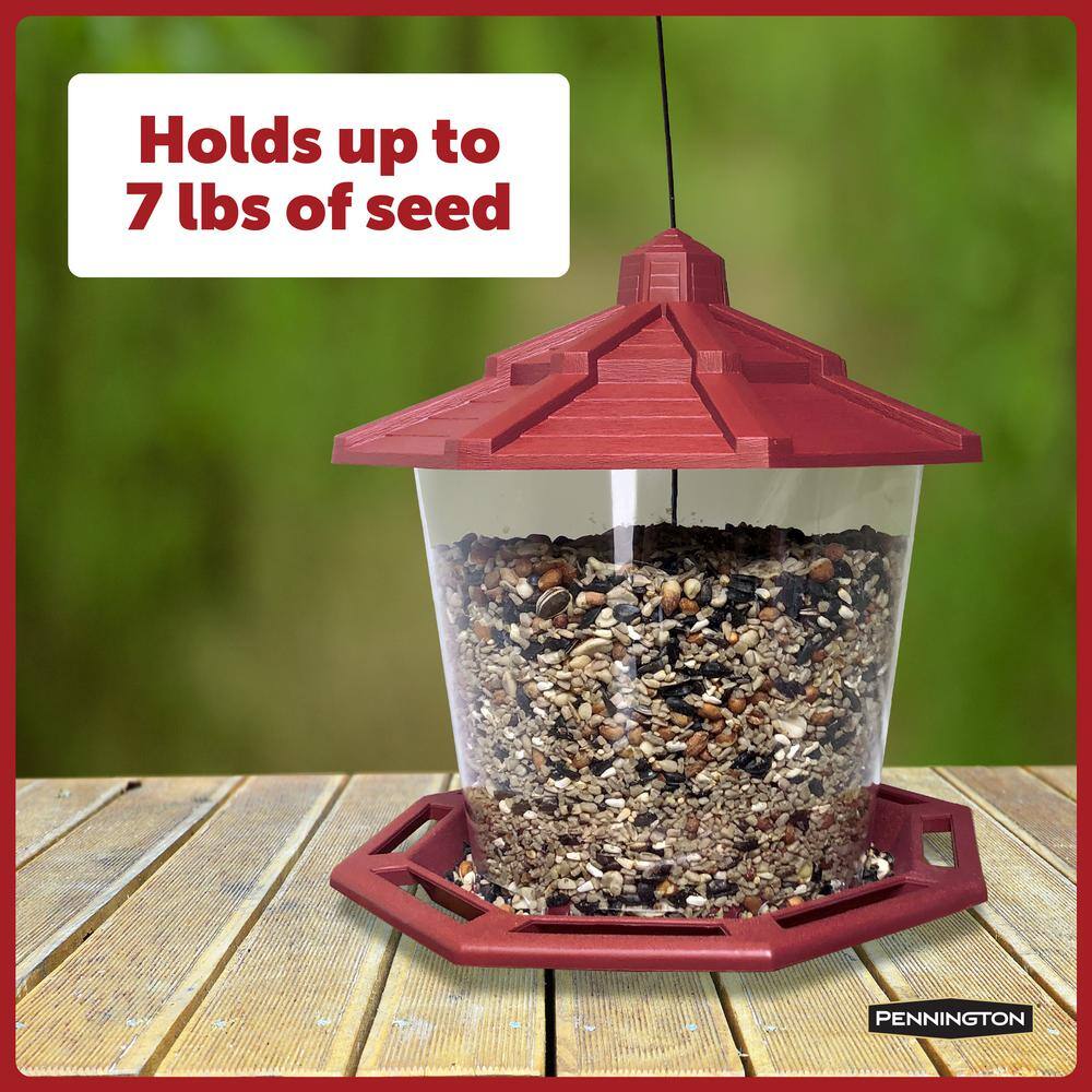 Buy Recycled Ecozebo Red Bird Feeder Online at Lowest Price in Ubuy