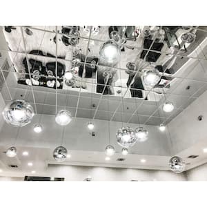 Mirror 2 ft. x 2 ft. Silver Lay-in Ceiling Tile (40 sq. ft. / case)