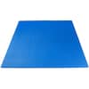 PROSOURCEFIT Extra Thick Exercise Puzzle Mat Blue 24 in. x 24 in