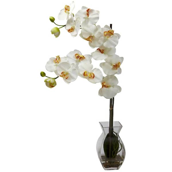 Nearly Natural Phalaenopsis Orchid with Vase Arrangement in Cream