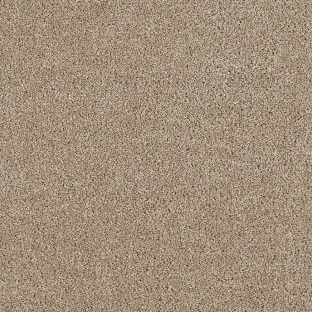 8 in. x  8 in. Texture Carpet Sample - Moonlight -Color Stroll price history on PriceWatchPro
