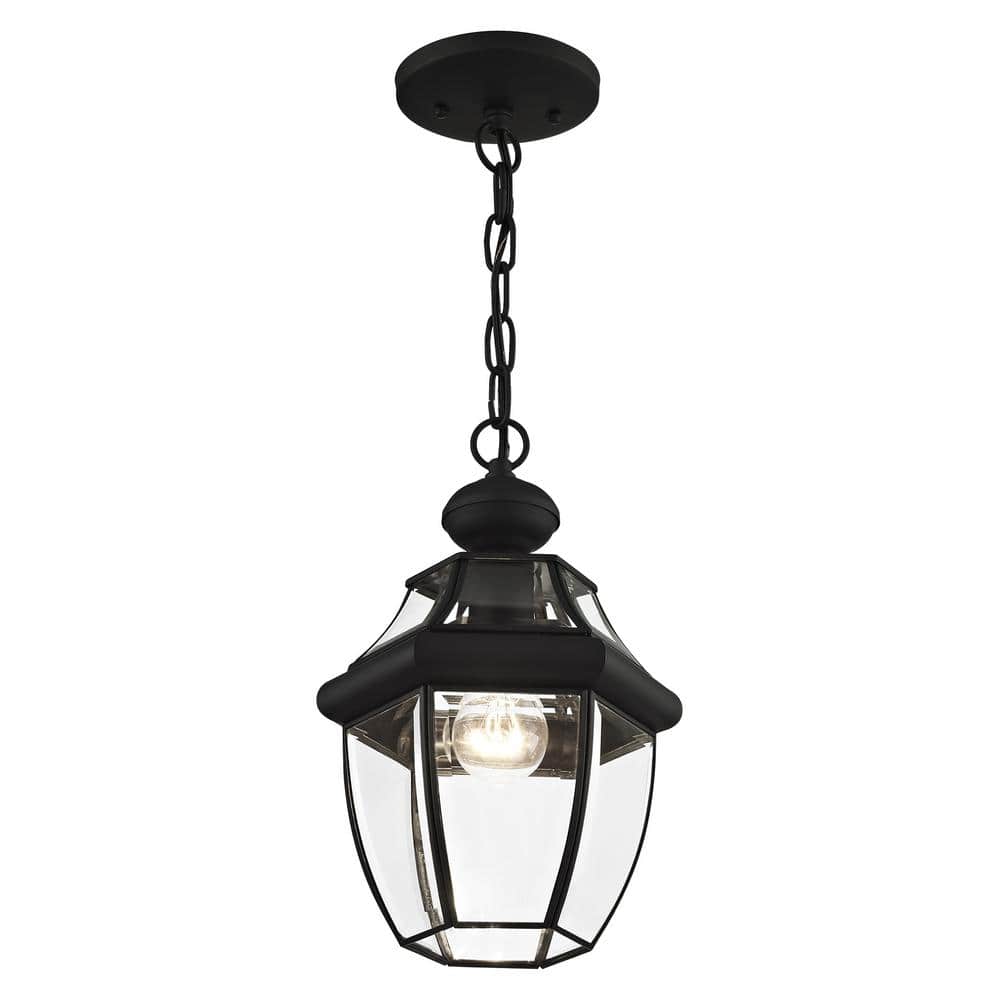 Black Glass 1-Light Indoor/Outdoor Pendant Lantern