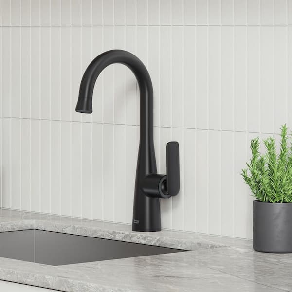 Aspirations Single Handle Pull-Down Bar Faucet in Matte Black