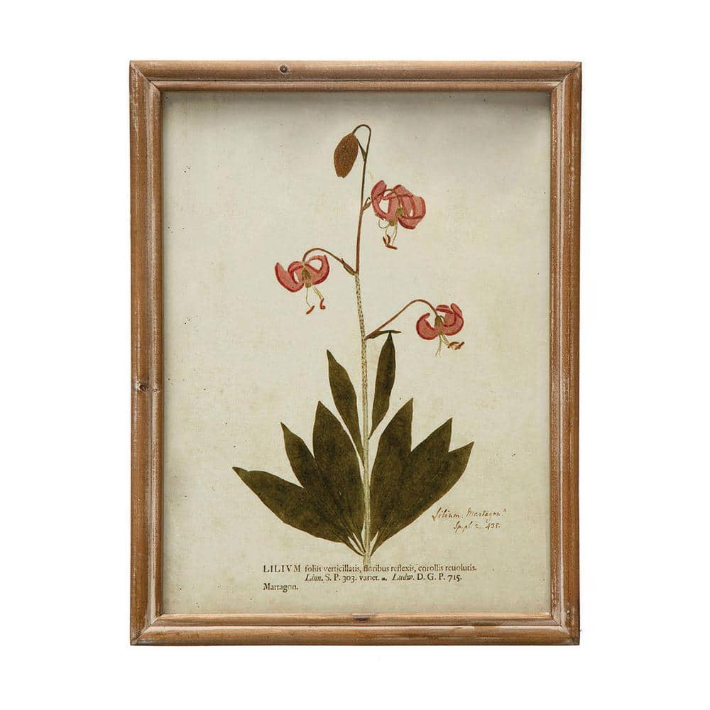 Vintage Botanical Print Set in Wood Frames, 10" x 13"