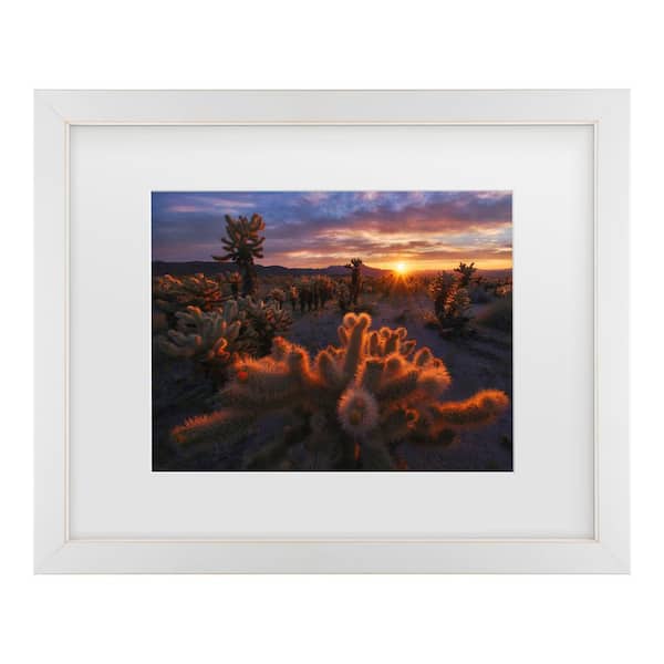 Trademark Fine Art Inigo Cia Cholla Garden Matted Framed Photography Wall Art 13 in. x 16 in.
