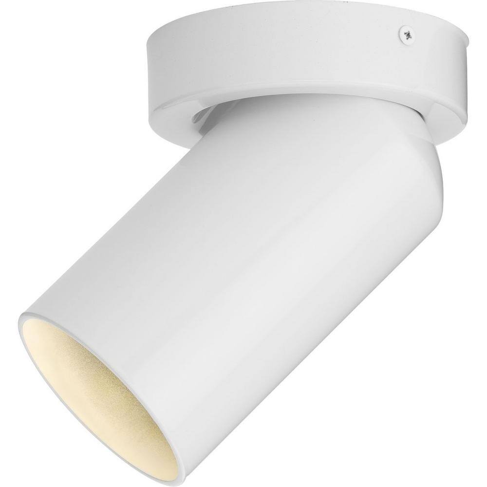 White Aluminum Adjustable Surface Mount Cylinder Light