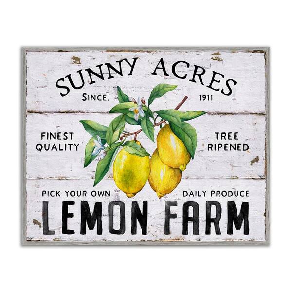 Stupell Industries Sunny Acres Lemon Farm by Creatif Belle Gray Framed Food Giclee Art Print 24 in. x 30 in.