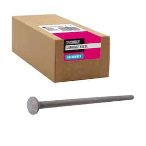 1/4 in.-20 x 6 in. Galvanized Carriage Bolt (25-Pack)